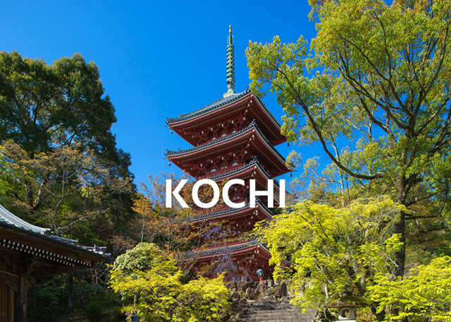 kouchiページ KOCHI | CHUGOKU＋SHIKOKU×TOKYO (JAPAN)