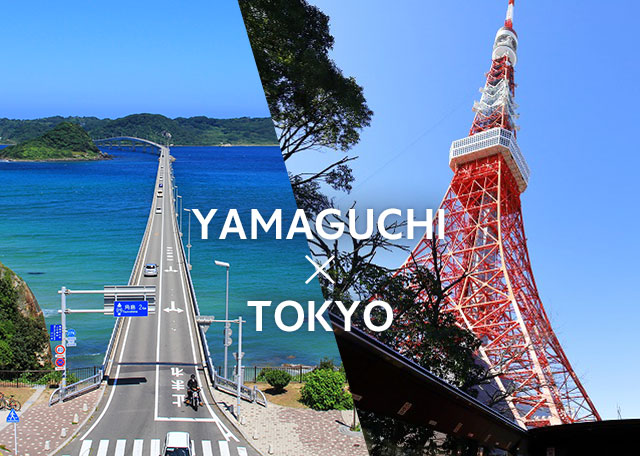 YAMAGUCHI - PANORAMIC VIEW | CHUGOKU＋SHIKOKU×TOKYO (JAPAN)