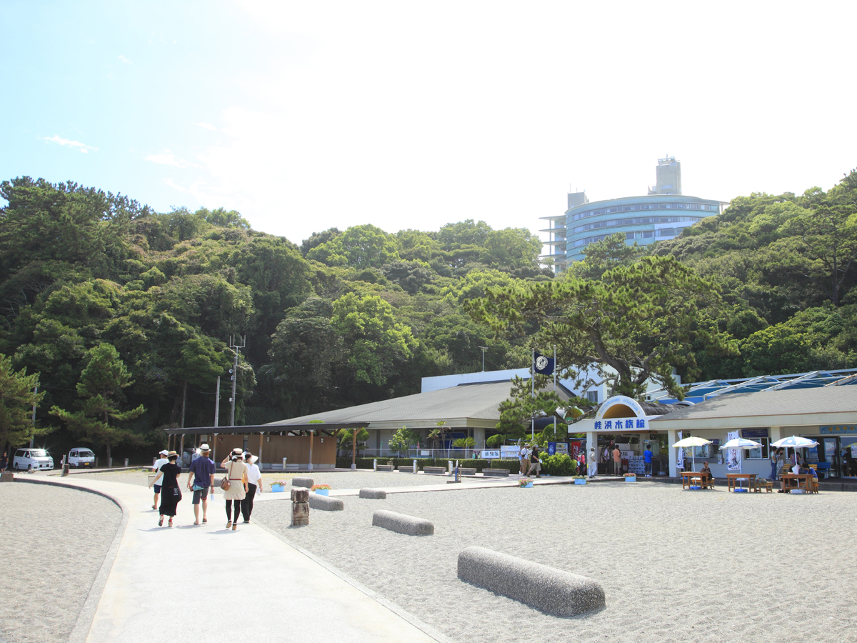 Katsurahama Aquarium_4