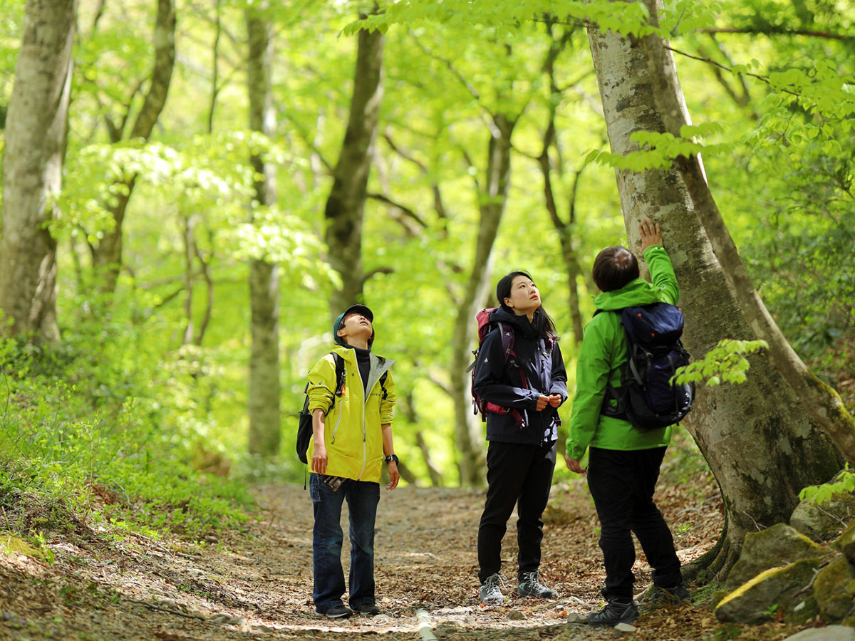 Mt. Daisen_2