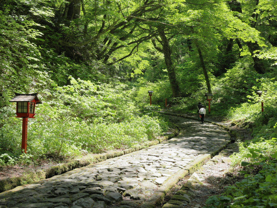 Mt. Daisen_3