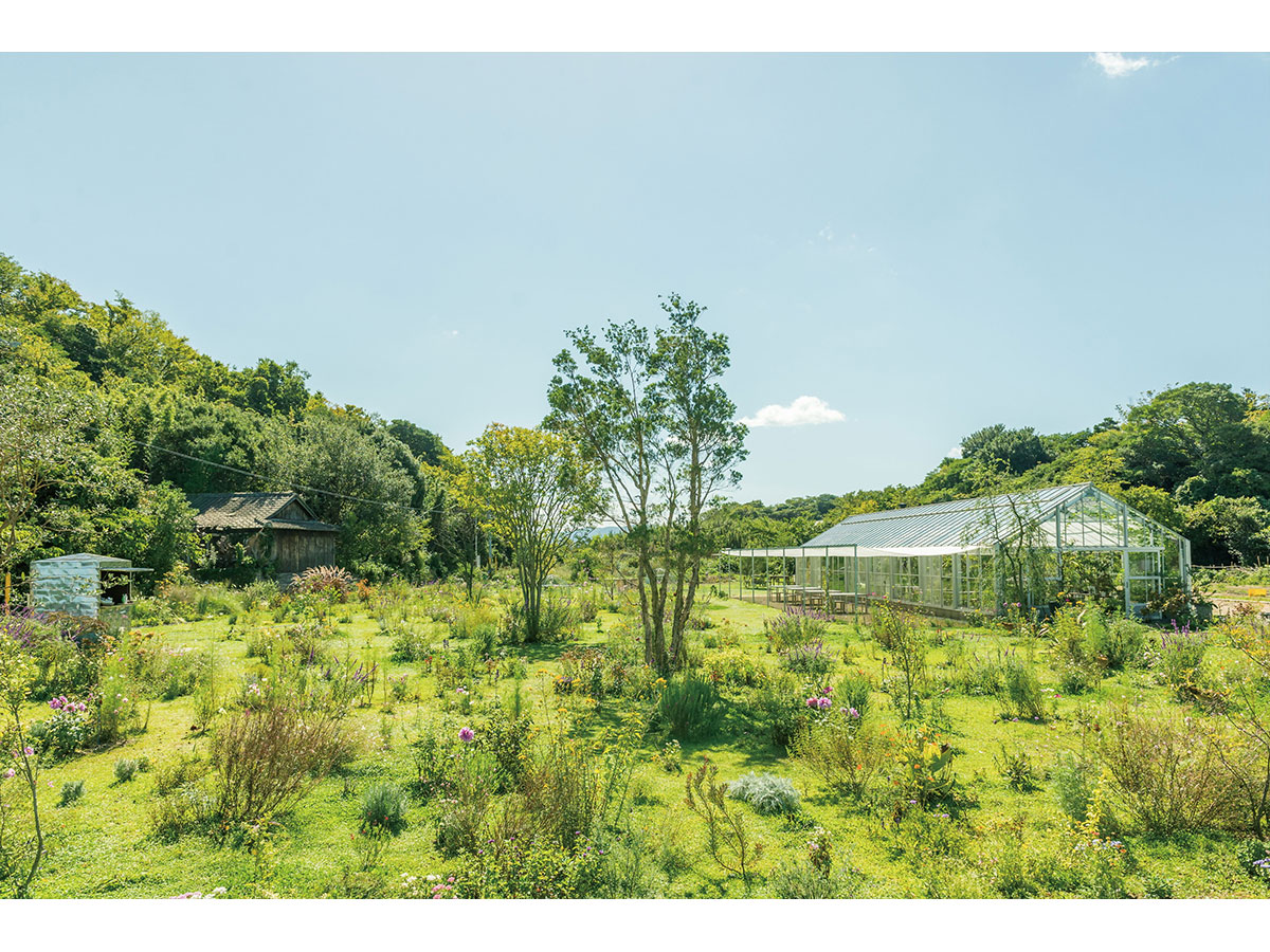 Inujima_4