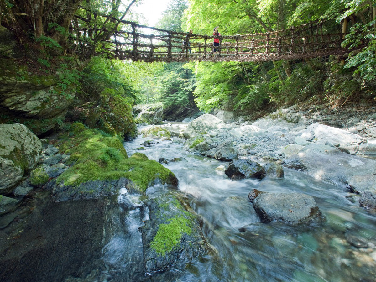 Oku-Iya Double Vine Bridges_1