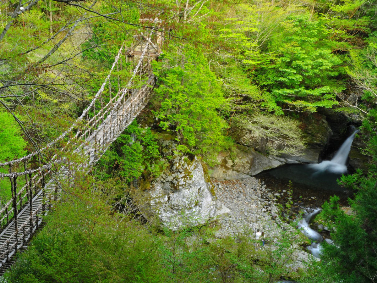 Oku-Iya Double Vine Bridges_2