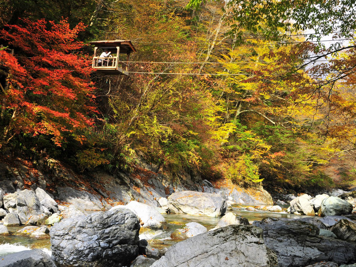 Oku-Iya Double Vine Bridges_3