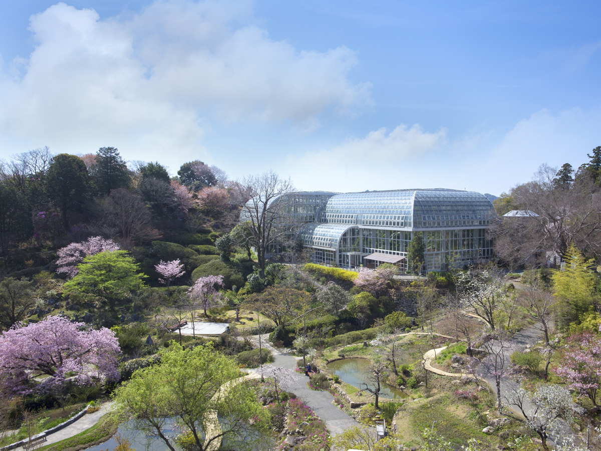 Kochi Prefectural Makino Botanical Garden_1