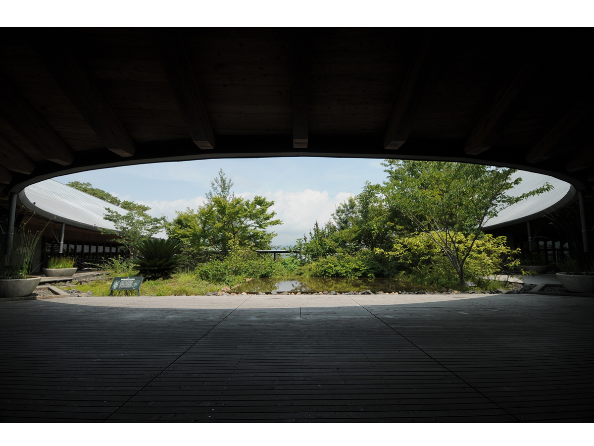 Kochi Prefectural Makino Botanical Garden_3