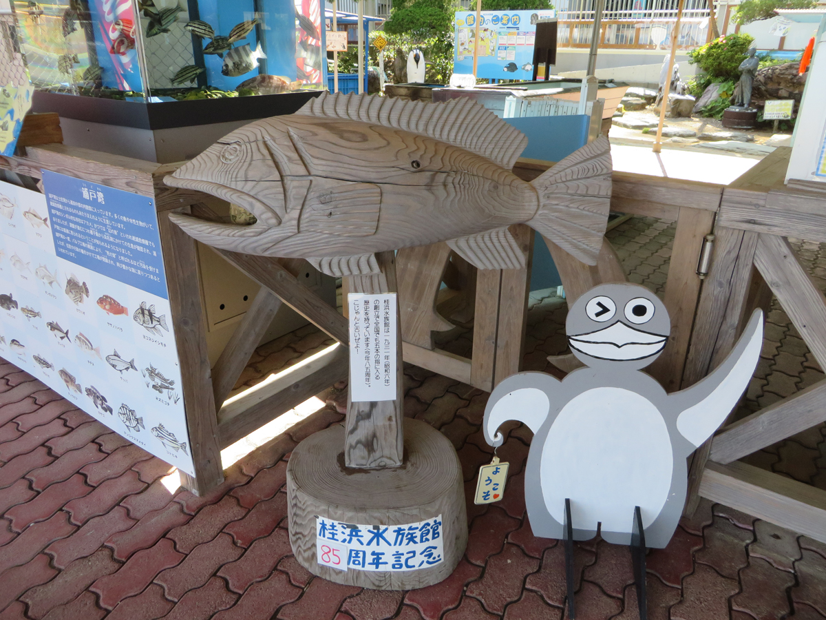 Katsurahama Aquarium_2