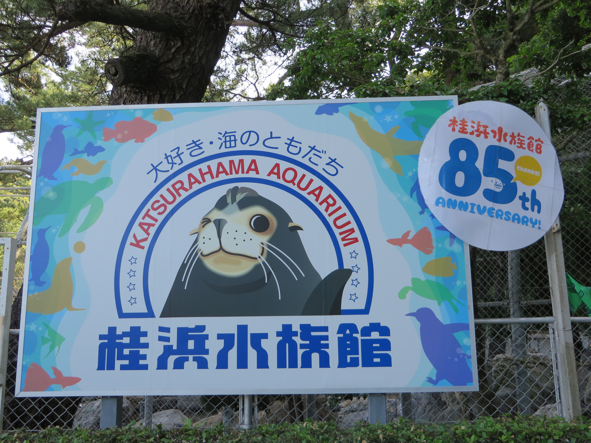 Katsurahama Aquarium_3