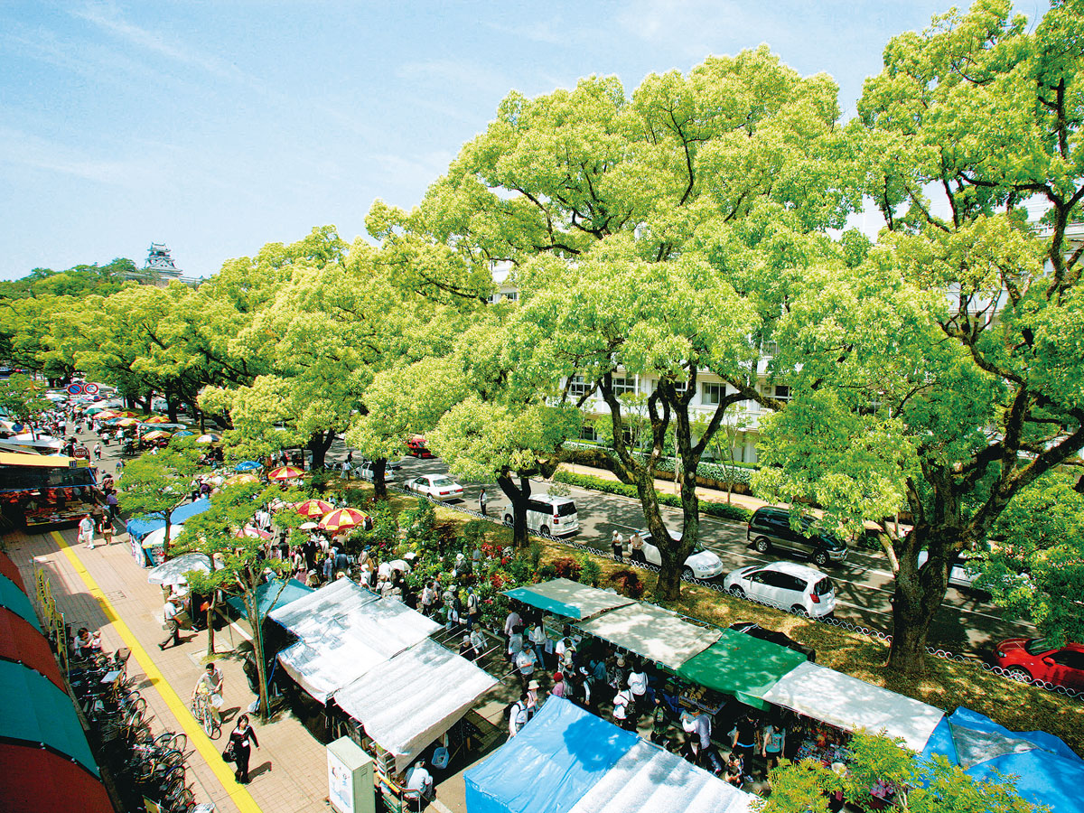 Sunday Market_4