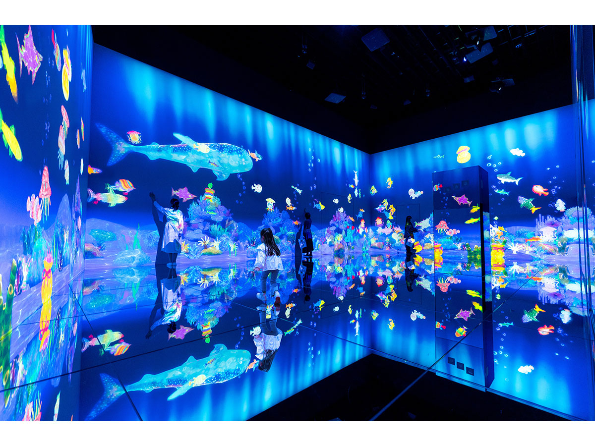 teamLab Borderless: MORI Building DIGITAL ART MUSEUM_3