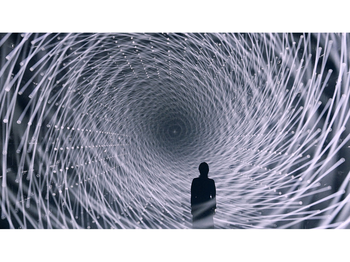 teamLab Borderless: MORI Building DIGITAL ART MUSEUM_4