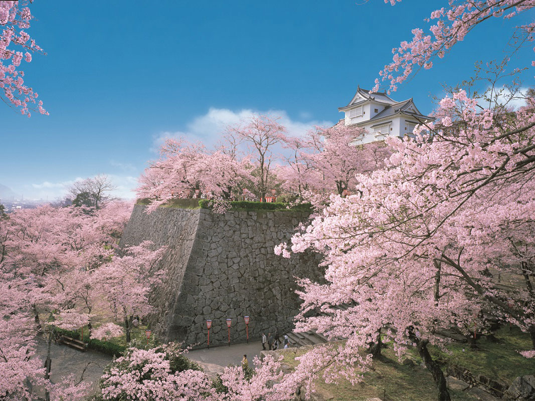 Tsuyama Castle (Kakuzan Park)_1