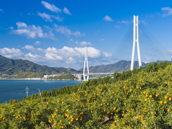 Ikuchijima Island | CHUGOKU＋SHIKOKU×TOKYO (JAPAN)