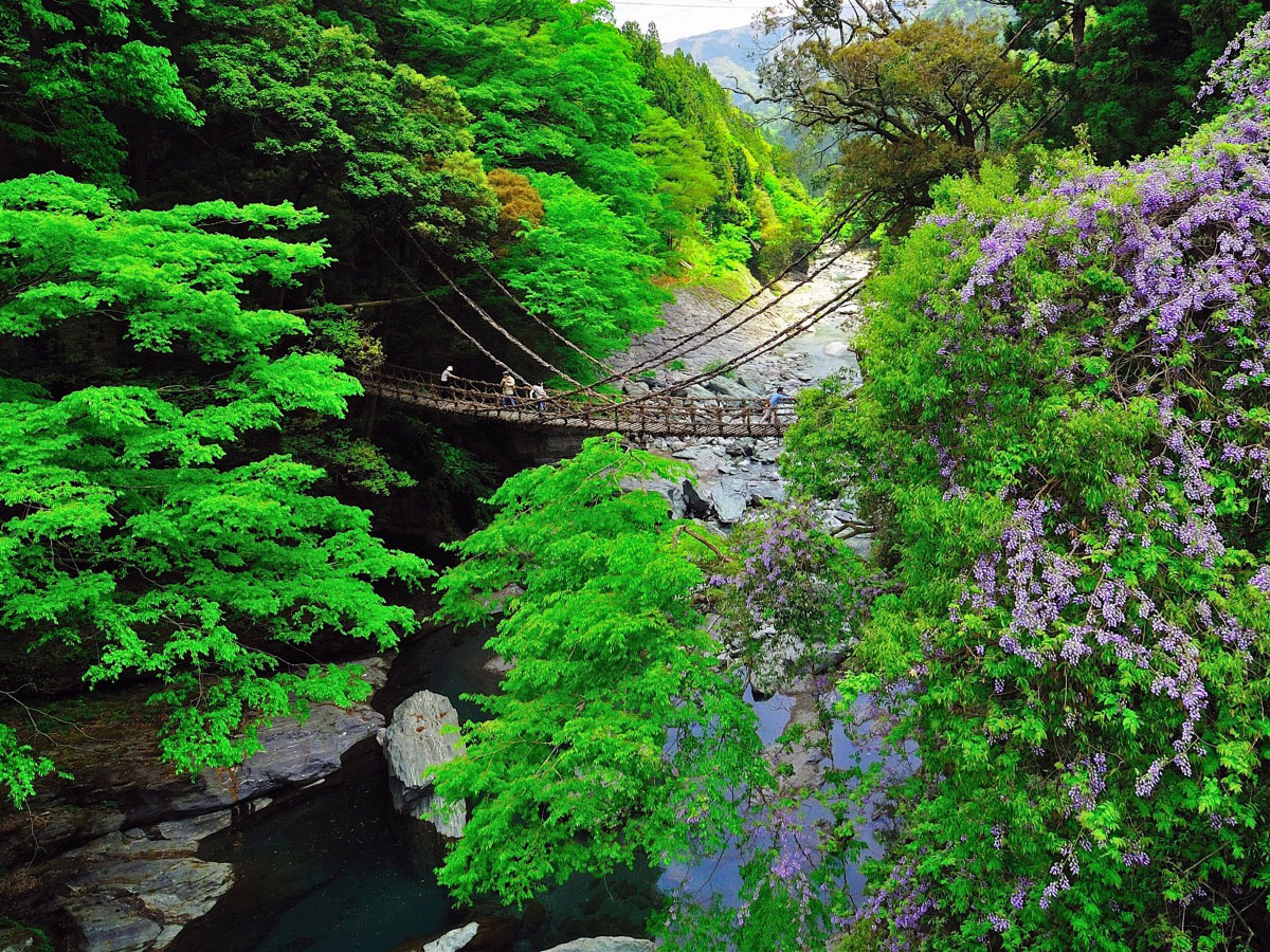 Vine Bridges of Iya Valley