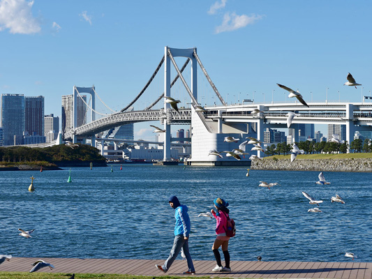 Odaiba Marine Park