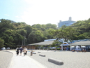 Katsurahama Aquarium_4