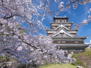 Hiroshima Castle_2