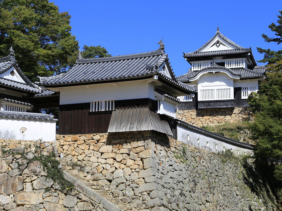 Bitchu Matsuyama Castle_2