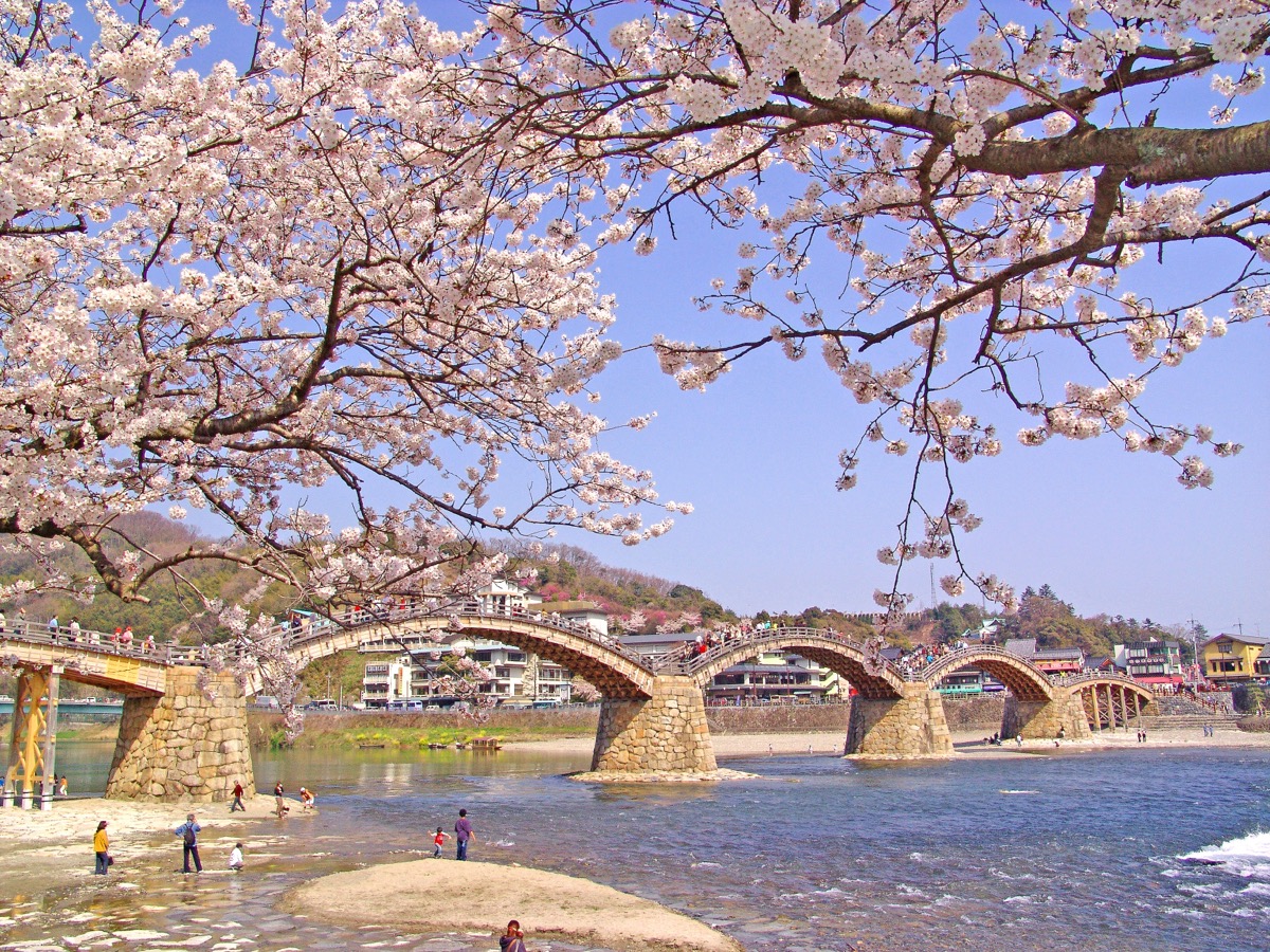 Kintaikyo Bridge_2