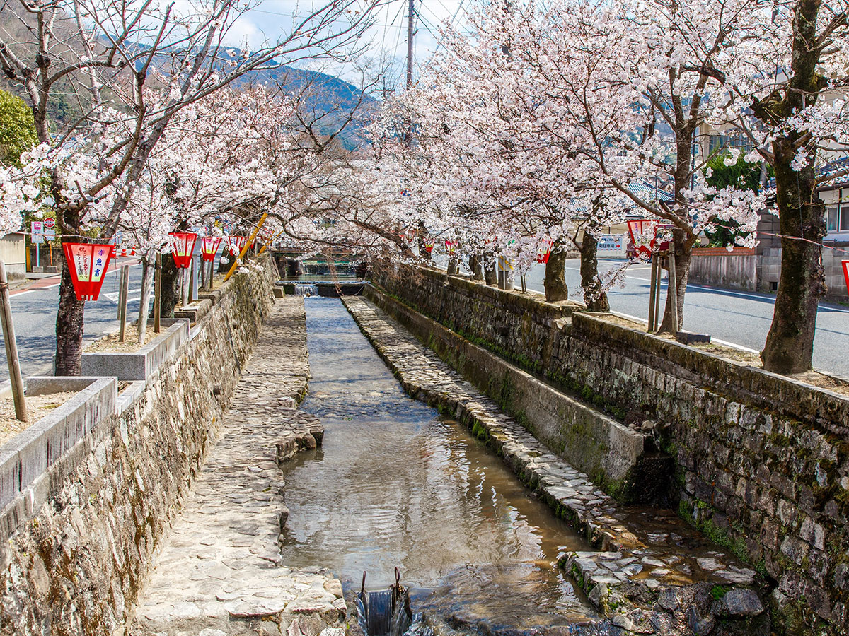 Koyagawa Bikan Historical Quarter_2