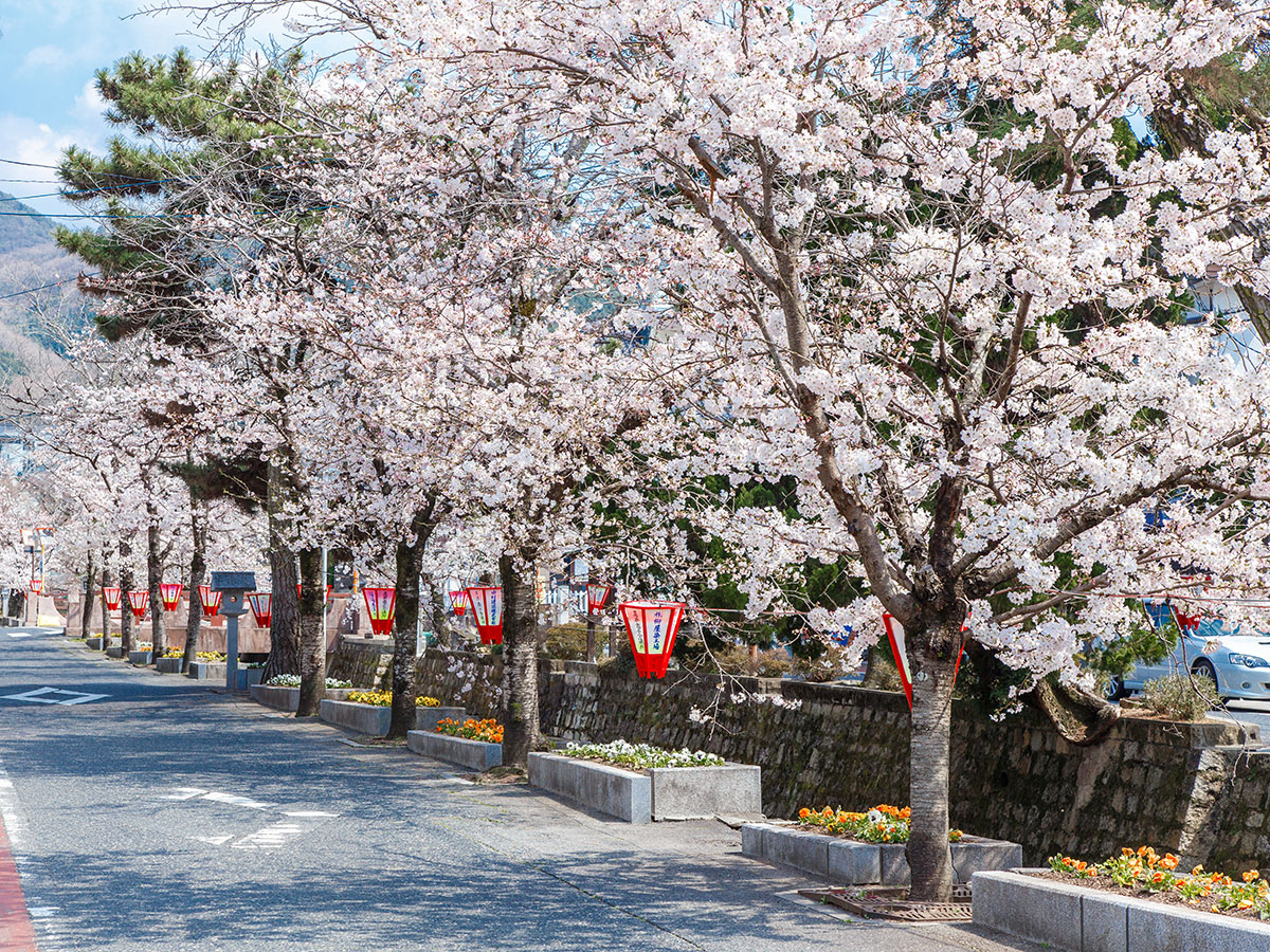 Koyagawa Bikan Historical Quarter_3
