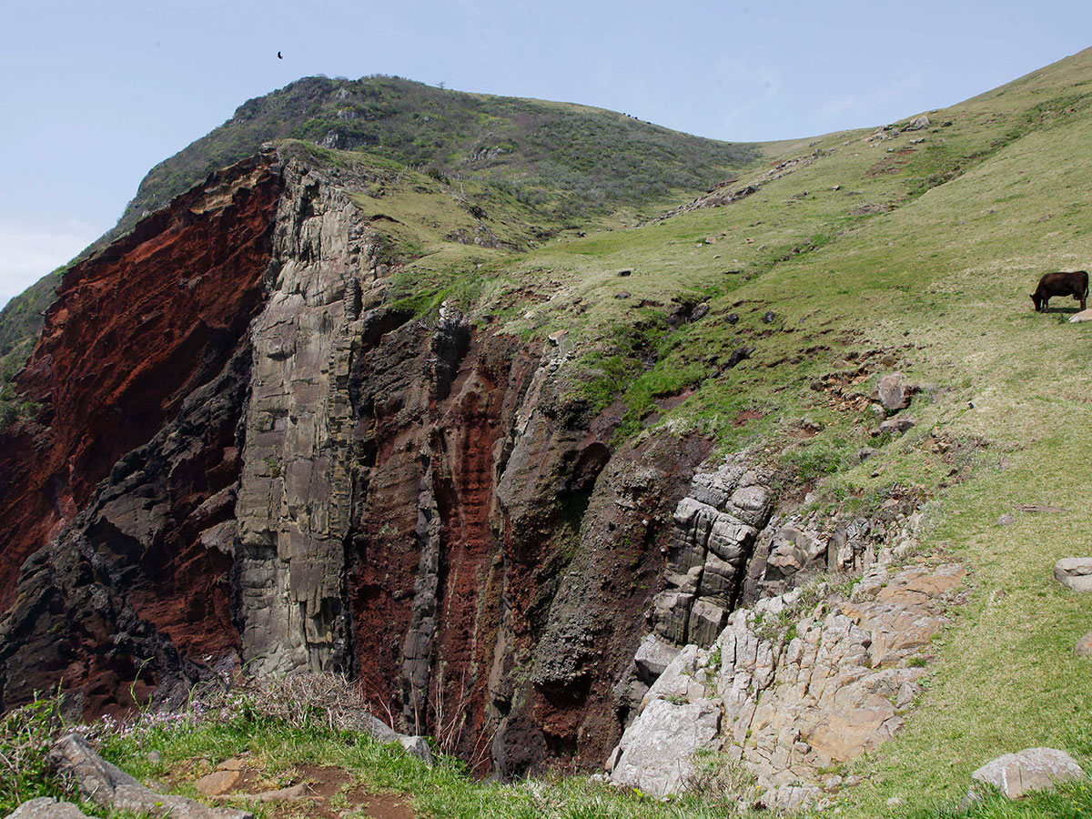 Oki Islands UNESCO Global Geopark (Sekiheki(Red Cliff))_3
