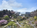 Kochi Prefectural Makino Botanical Garden_1