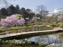 Kochi Prefectural Makino Botanical Garden_2