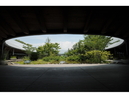 Kochi Prefectural Makino Botanical Garden_3