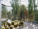 Tokiwa Park_4