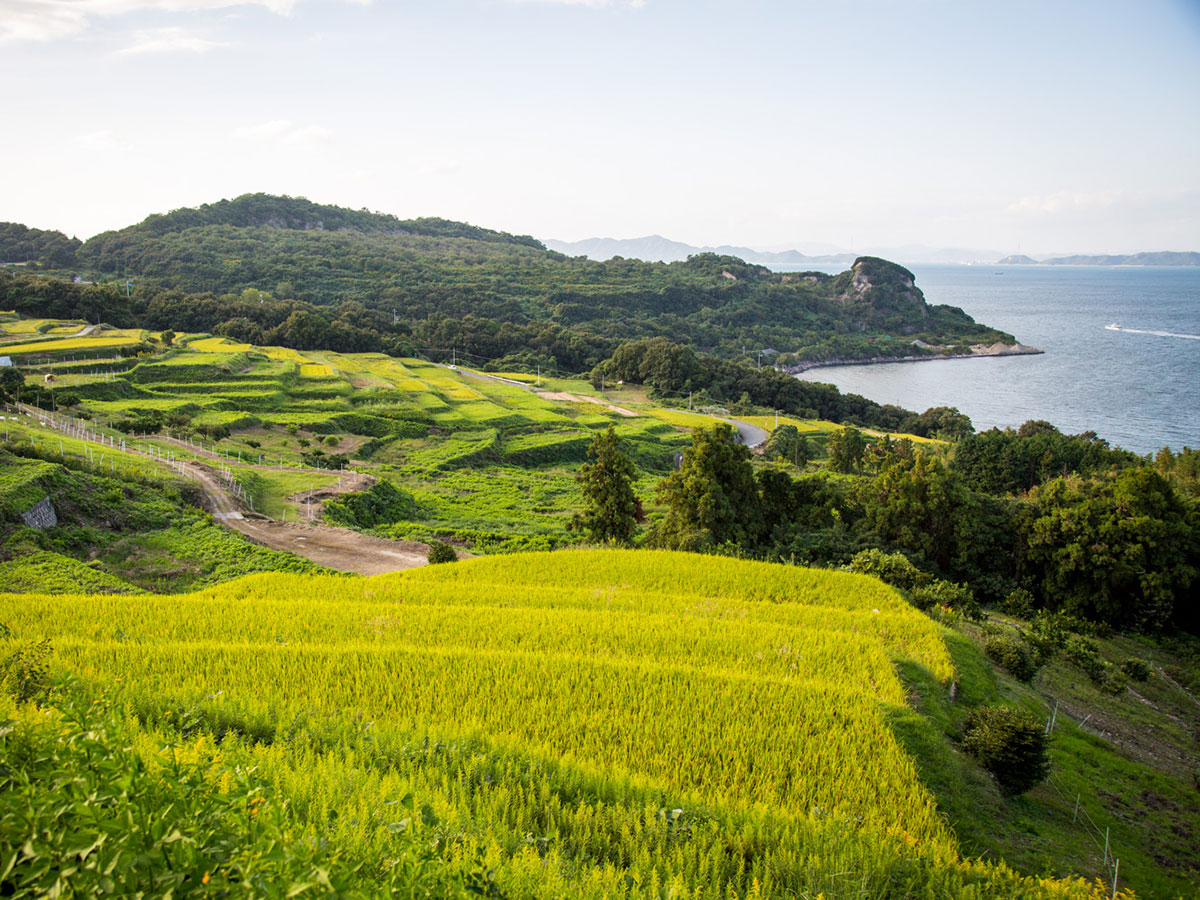 Teshima_3