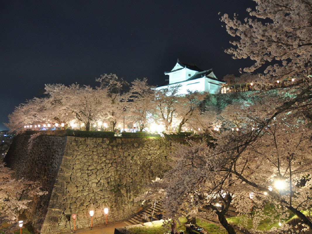 Tsuyama Castle (Kakuzan Park)_2